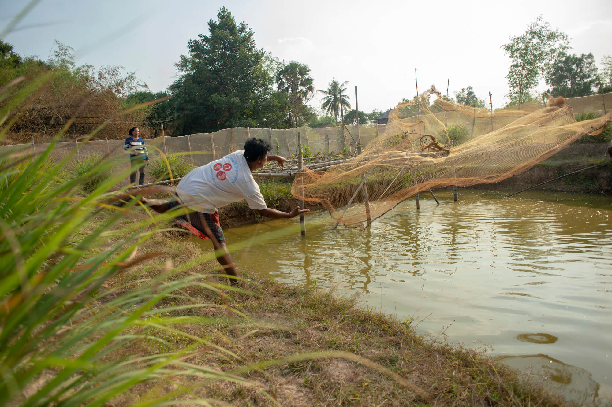 Business savvy fish pond