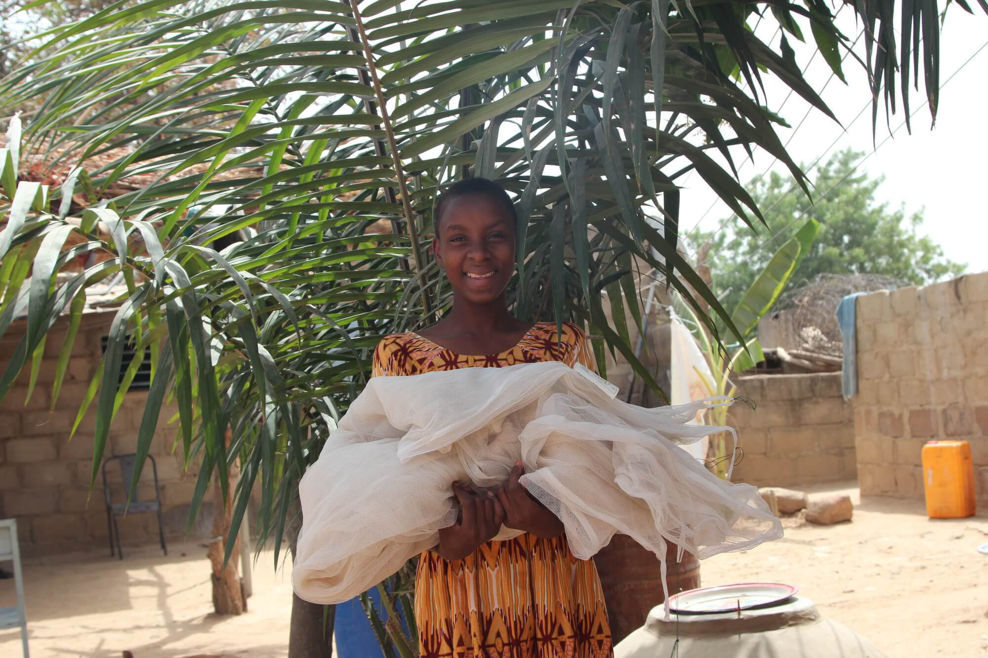 Health mosquito nets