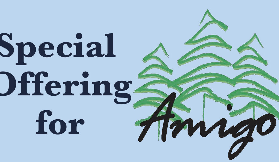 Special Offering for Amigo Centre