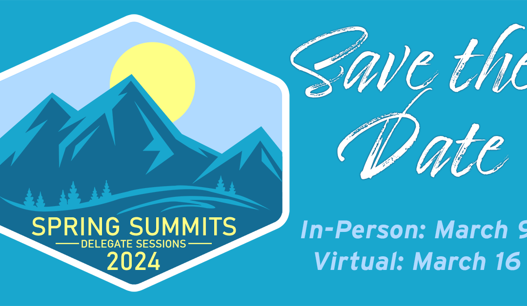 Spring Summit 2024