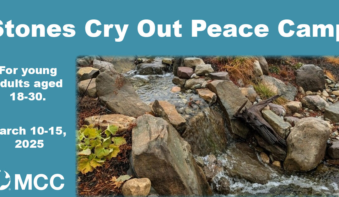 The Stones Will Cry Out